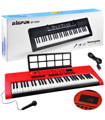 Suured klahvpillid BF-950A 61 klahvi + mikrofon