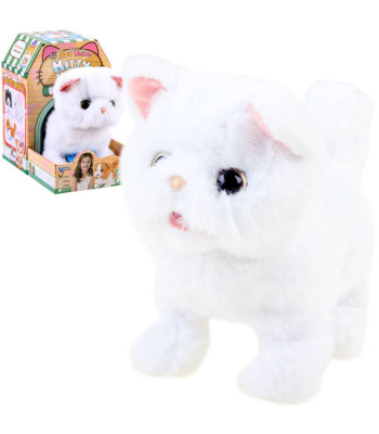 Interaktiivne Kassipoeg Psotek