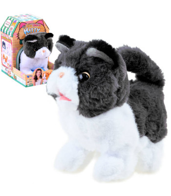 Interaktiivne Kutsikas Psotek otsib ema ZA3850