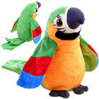 Värviline, pehme Papagoi pleciuga