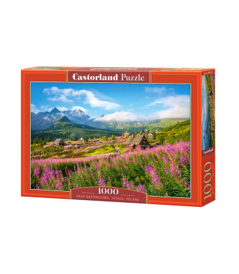 Pusle 1000 el. Hala Gąsienicowa, Tatry, Poola