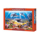 Delfiinide allvee pusle 500