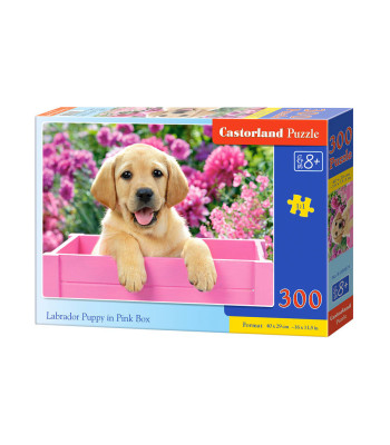 300-osaline pusle Labradori kutsikas roosas kastis