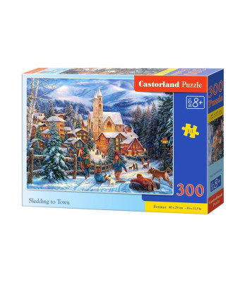 Pusle 300 tükki Kelgutamine linnas