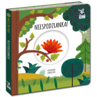 Kapitan Nauka Magiczny Ratas. Üllatus! KS0674