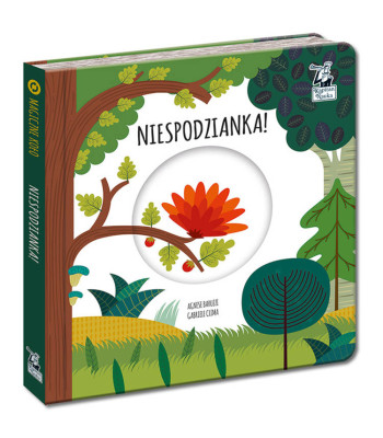 Kapitan Nauka Magiczny Ratas. Üllatus! KS0674