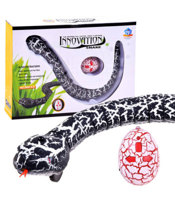 Kaugjuhitav madu lastele