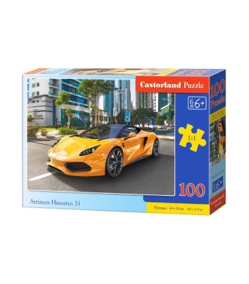 Puzzle 100 tk Arrinera Hussarya