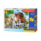 Puzzle 100 elemendiga Best Friends
