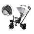 Laste kolmerattaline jalgratas Tiny Bike 3in1 varikatusega