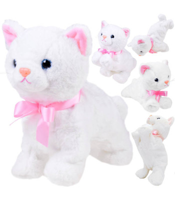 Interaktiivne Akrobaatiline Kassipoeg