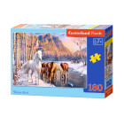 Talve sulamise pusle 180 tükki