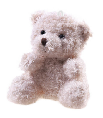 Plush Mänguasi Karu Võtmehoidja ZA4404