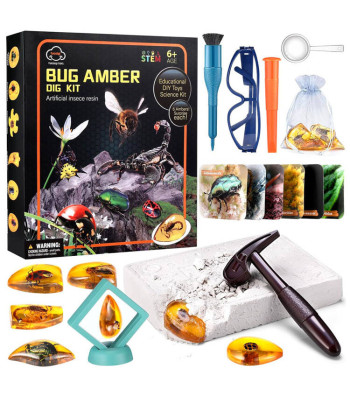 Putukate fossiilide merevaik arheoloogi komplekt ZA4725