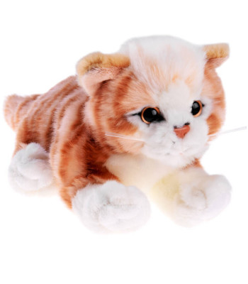 Maskott Kassi Pruunkass Kutsikas 30 cm