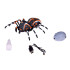 Realistlik kaugjuhitav mänguasi ämblik