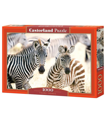 1000-osalised pusled C-105021 Noored Seebrad