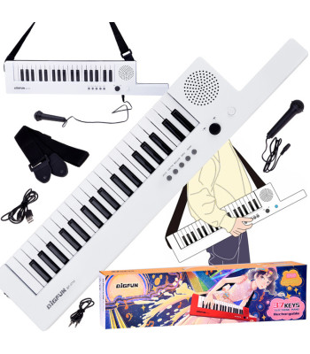 Elektrilised klahvpillid koos hoidjaga + mikrofon 37 klahvi IN0172