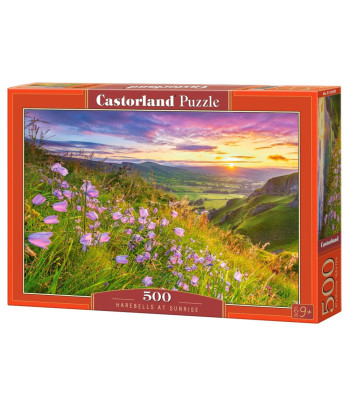 Hommikupäikeses kellukesed pusle 500 tükki