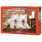 1000-osaline Samojeedi kutsikate pusle