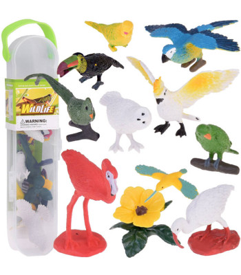 Värviliste eksootiliste lindude komplekt