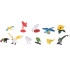 Värviliste eksootiliste lindude komplekt