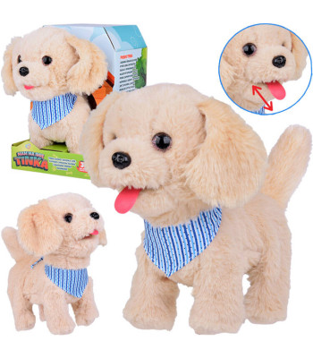 Tinka - Interaktiivne Koer