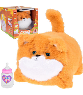 Interaktiivne koerake Pulpet