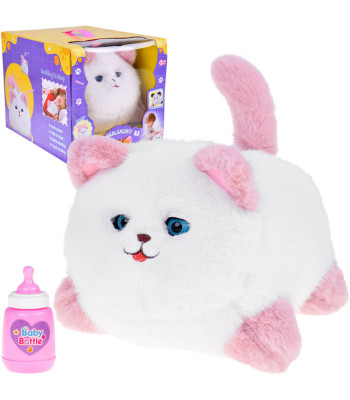 Interaktiivne kassipoeg PUSIA