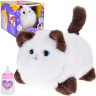 Interaktiivne kassipoeg PUSZEK