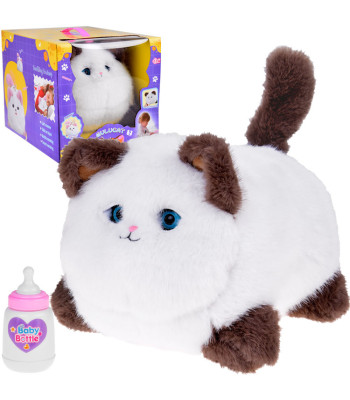 Interaktiivne kassipoeg PUSZEK