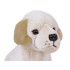 Plüüsist Labrador Koer 20cm