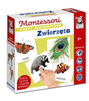 Kapitan Nauka Montessori Sensoorne Kaardimäng Lastele