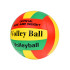 Võrkpalli pall rannavõrkpalliks ja saalivõrkpalliks SP0817