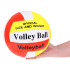 Võrkpalli pall rannavõrkpalliks ja saalivõrkpalliks SP0817