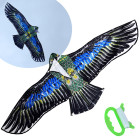 Suur kerge kotkas tuulelohe