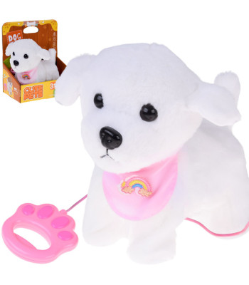 Interaktiivne Koer Rihmaga