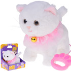 Interaktiivne Kassi Sõber Kettiga