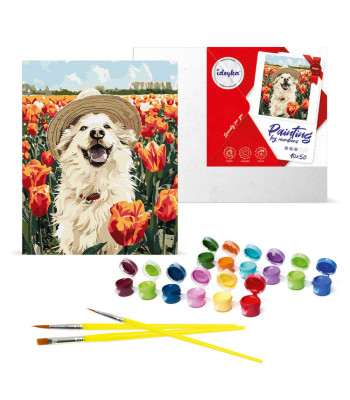 Õnnelik labrador maalimiskomplekt KHO6623 40x50 AP0042