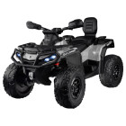 CAN-AM OUTLANDER 4x4 akutoitel quad lastele