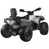 CAN-AM OUTLANDER 4x4 akutoitel quad lastele
