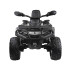 CAN-AM OUTLANDER 4x4 akutoitel quad lastele