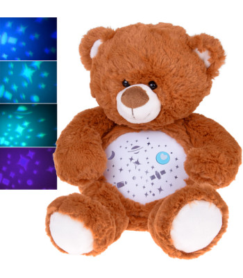 Plüüsist karu projektor