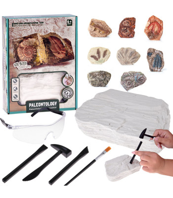 Arheoloogiline Komplekt - Üllatuskaevamised