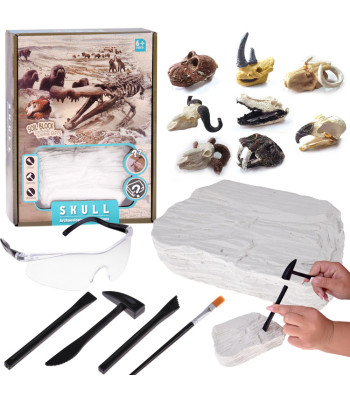 Arheoloogia komplekt: Üllatus kivistunud koljud