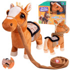 Interaktiivne Tantsiv Hobune