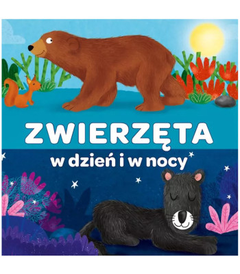 Kapten Teadus – Looduse Uurimise Kokkukeeratud Raamat Loomad Päeval ja Öösel