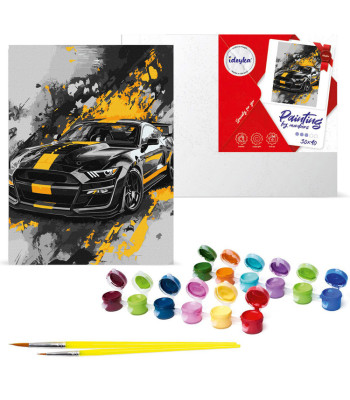 Numbrite järgi maalimise komplekt 30x40cm KHO5155 Sportlik stiil AP0091