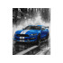 Maali numbrite järgi 40x50 cm Sinise võidusõiduauto