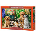 Puzzle 500 tükki Kutsikad, Pesu ja Lindude Lõbustused B-54152